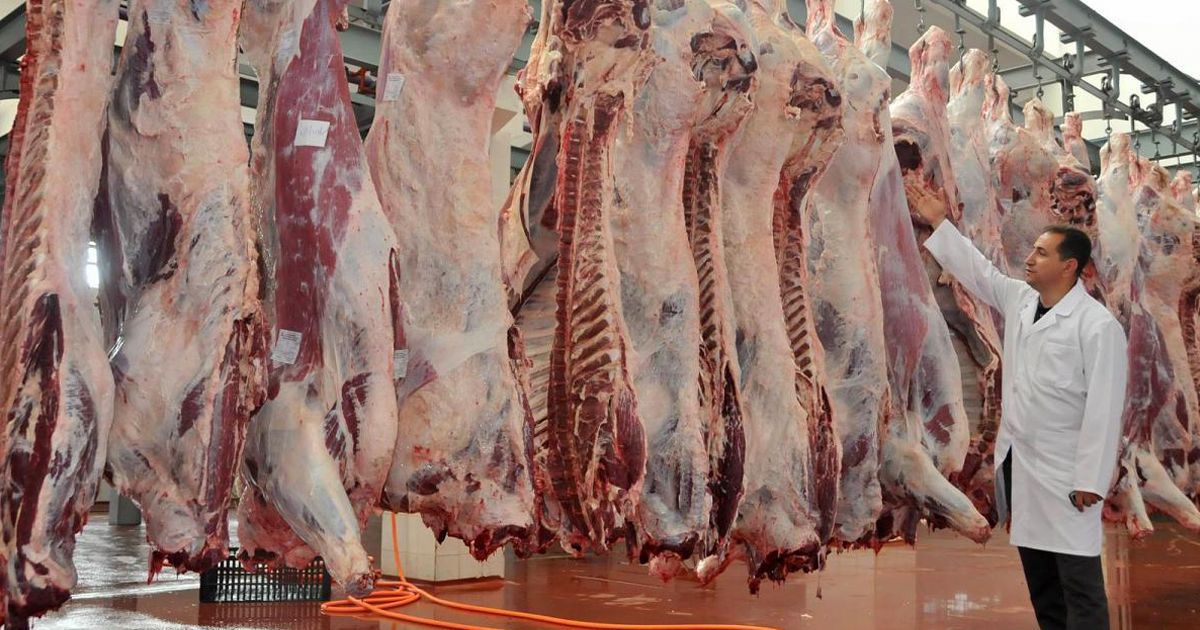 Etin kilosu 100 TL’ye kadar çıktı Yükselişteki Haberler Haberleri